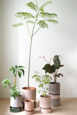 PLANT Hoff krukke, raw grey + raw rosa underskål, gulvkrukke Hot