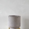 PLANT Hoff krukke, raw grey + Yellow underskål