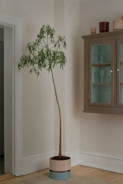 PLANT Hoff krukke, raw rosa Clearance
