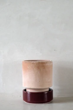 PLANT Hoff krukke, raw rosa + Burgundy underskål Outlet