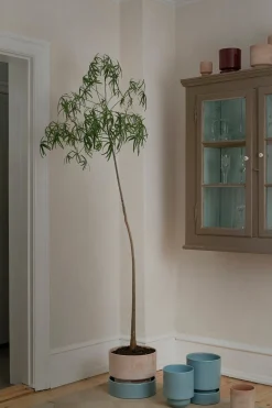 PLANT Hoff krukke, raw rosa + Misty Blue underskål Sale