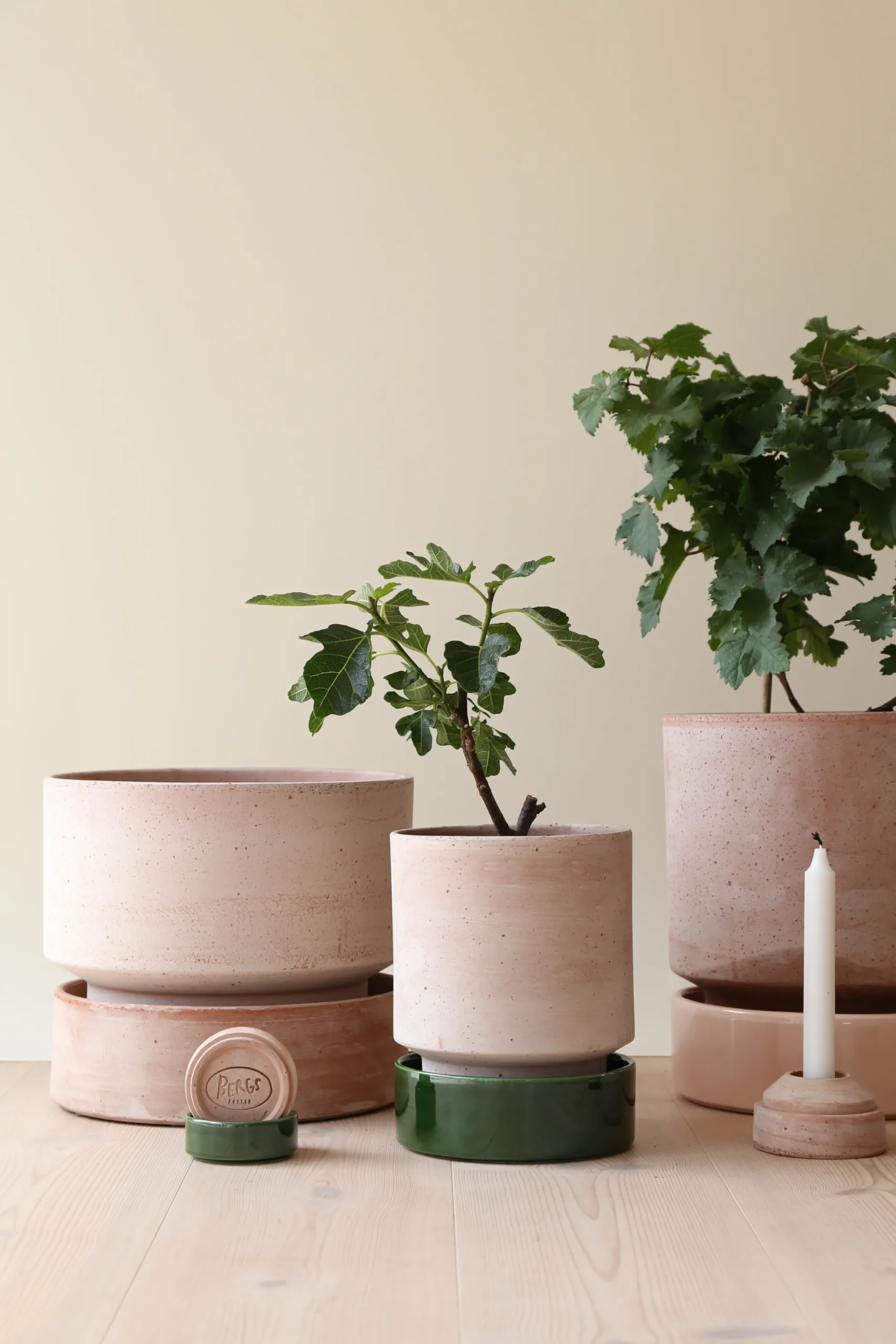 PLANT Hoff krukke, raw rosa + raw rosa underskål Clearance