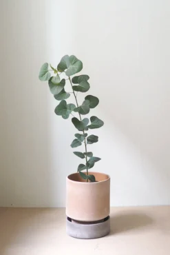 PLANT Hoff krukke, raw rosa + raw grey underskål, gulvkrukke Discount