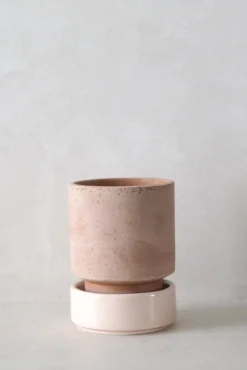 PLANT Hoff krukke, raw rosa + rosa underskål