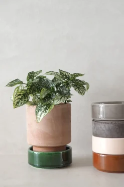 PLANT Hoff krukke, raw rosa + rust underskål Outlet