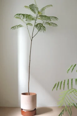 PLANT Hoff krukke, raw rosa + rust underskål Outlet