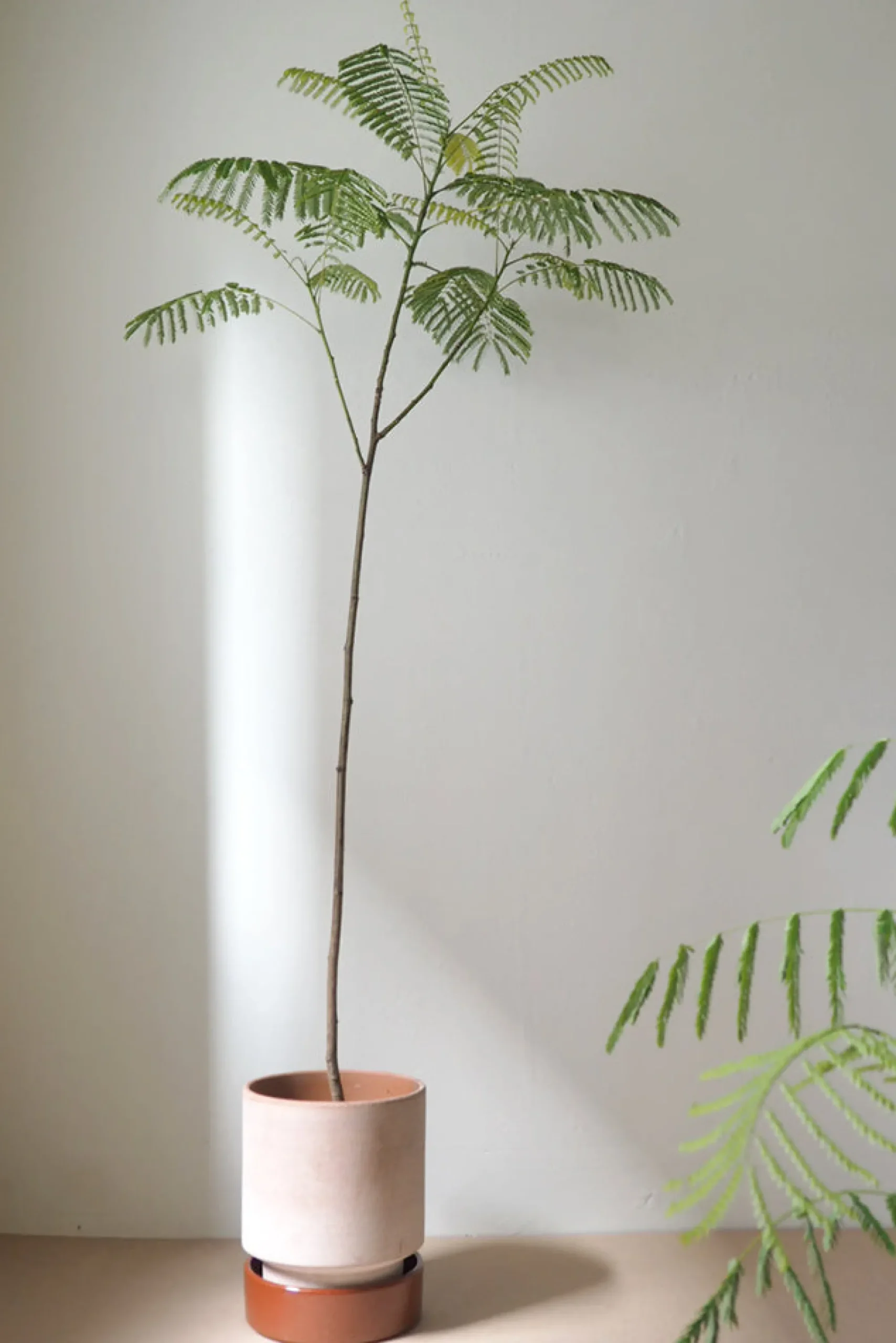 PLANT Hoff krukke, raw rosa + rust underskål Outlet