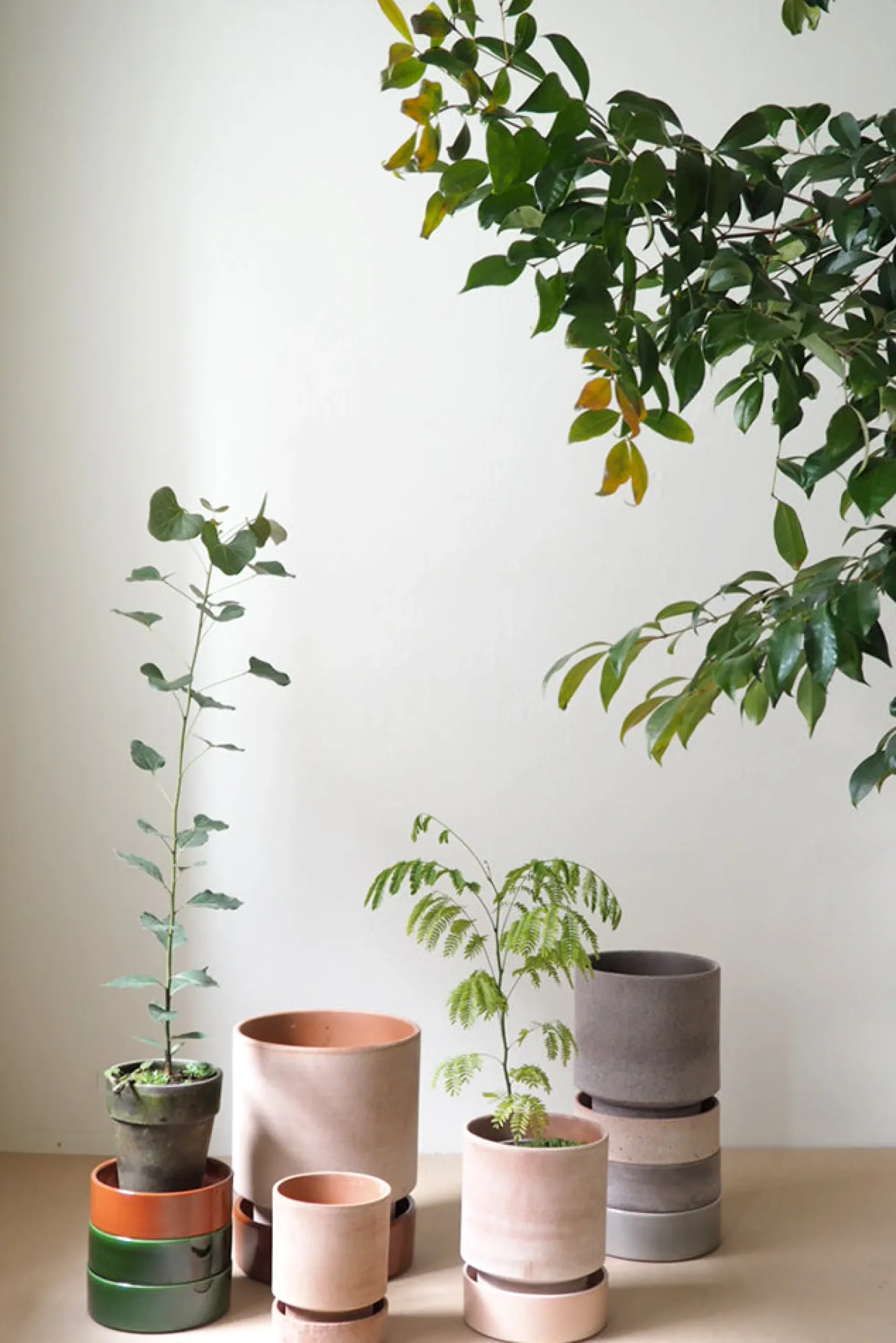 PLANT Hoff krukke, raw rosa + rust underskål Outlet