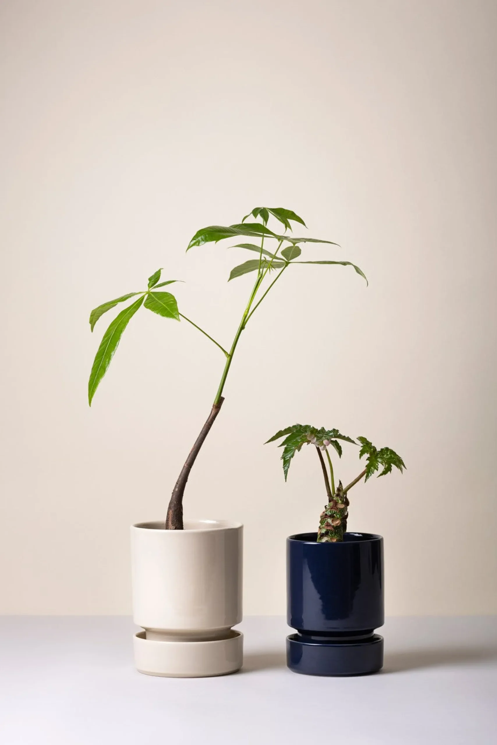 PLANT Hoff krukke, Sapphire Blue New