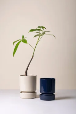 PLANT Hoff underskål, glaseret Sandstone