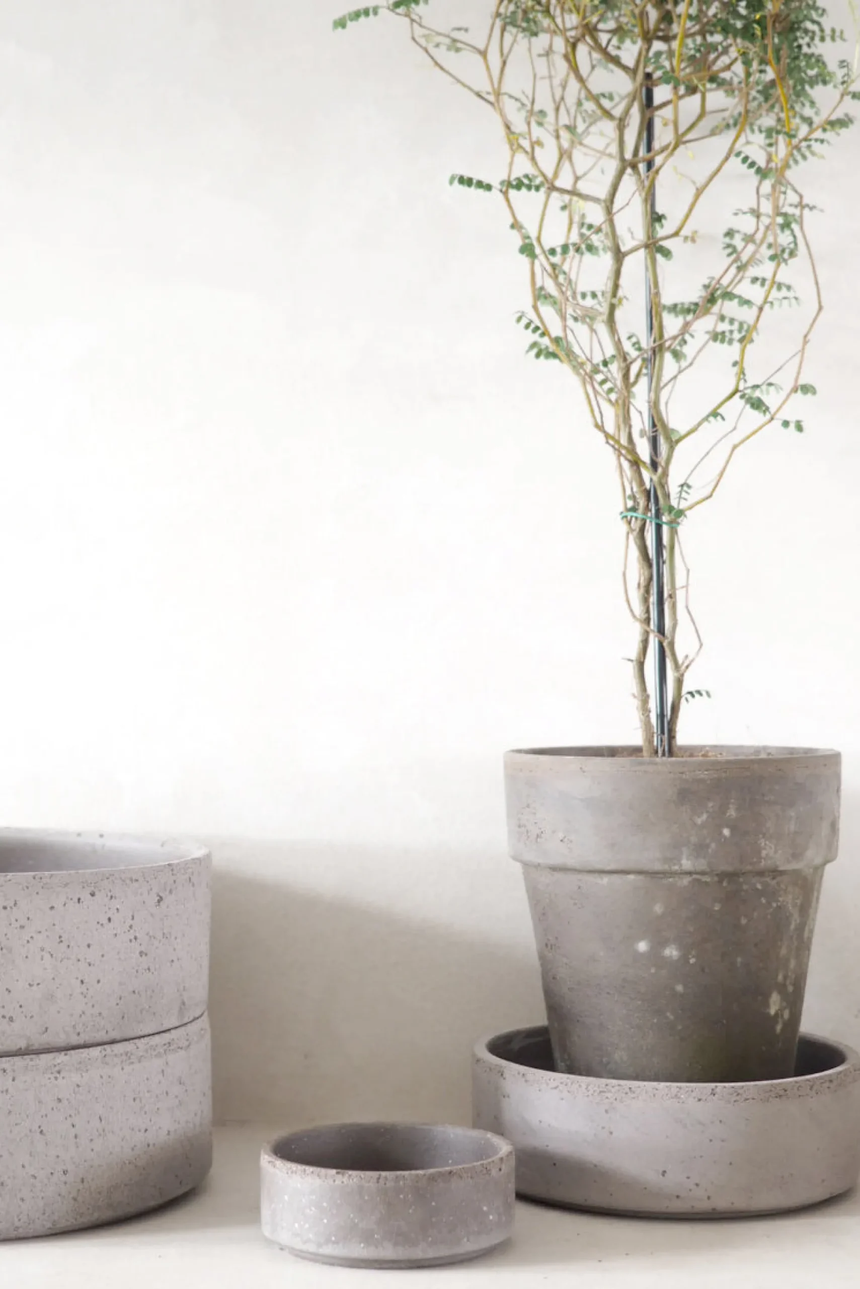 PLANT Hoff underskål, raw grey Online