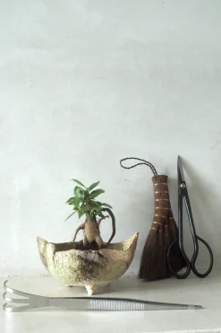 PLANT Japansk bonsai krukke, håndlavet, brun Outlet