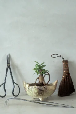 PLANT Japansk bonsai krukke, håndlavet, brun Outlet