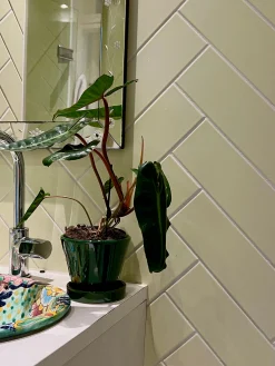 PLANT Julie - Emerald Green Outlet
