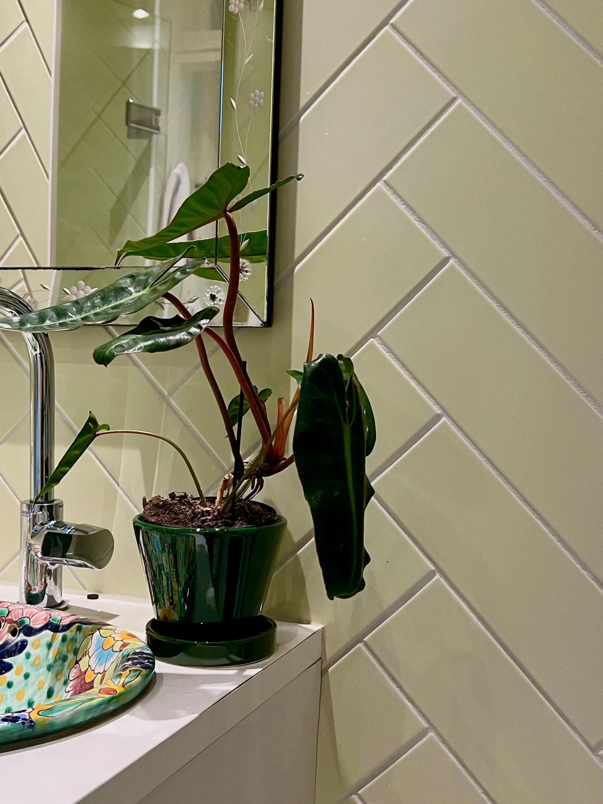 PLANT Julie - Emerald Green Outlet