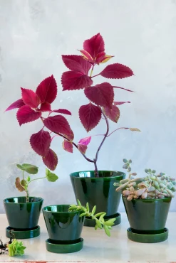 PLANT Julie - Emerald Green Outlet