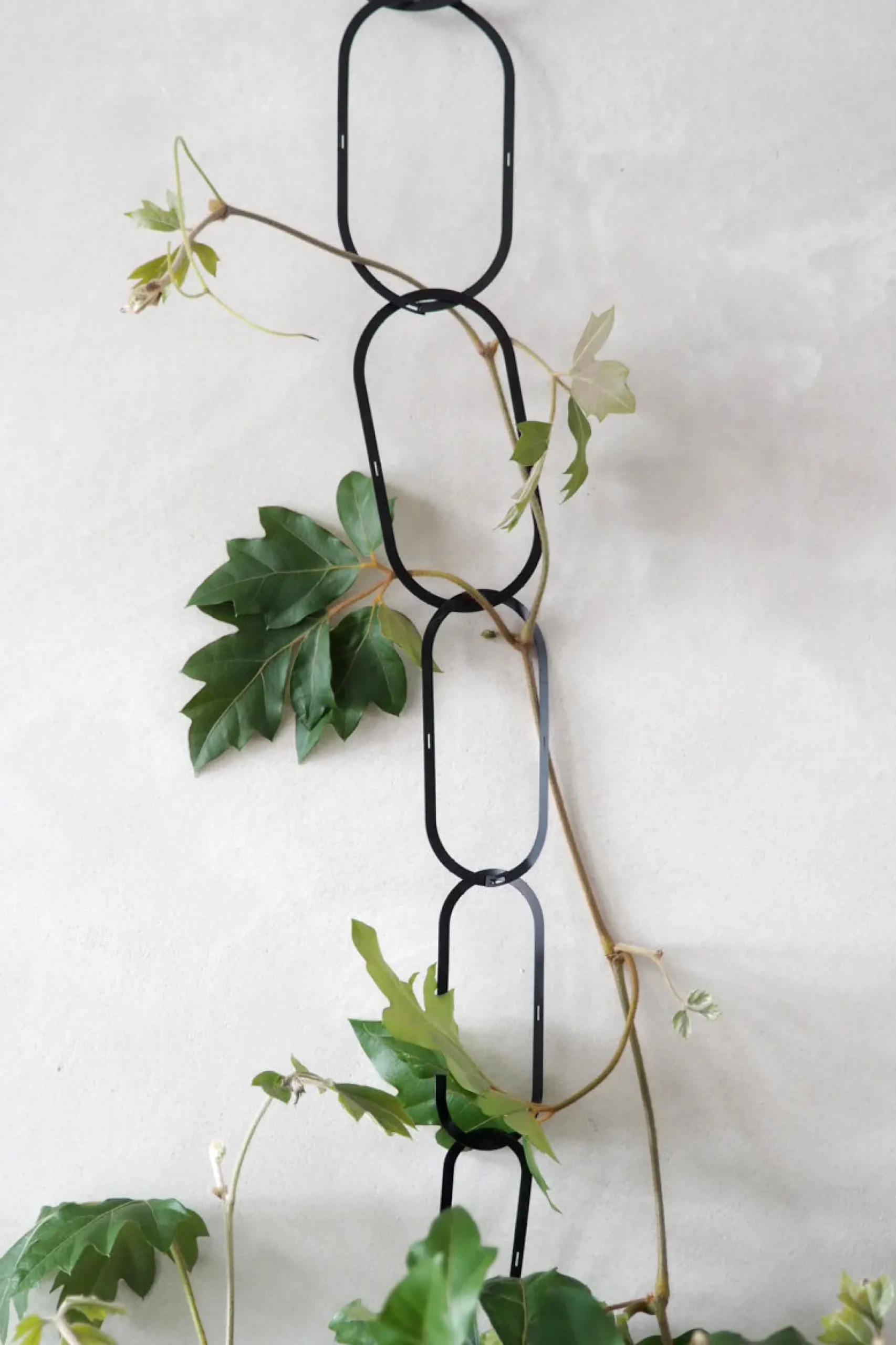 PLANT Klatrestøtte, sort Discount