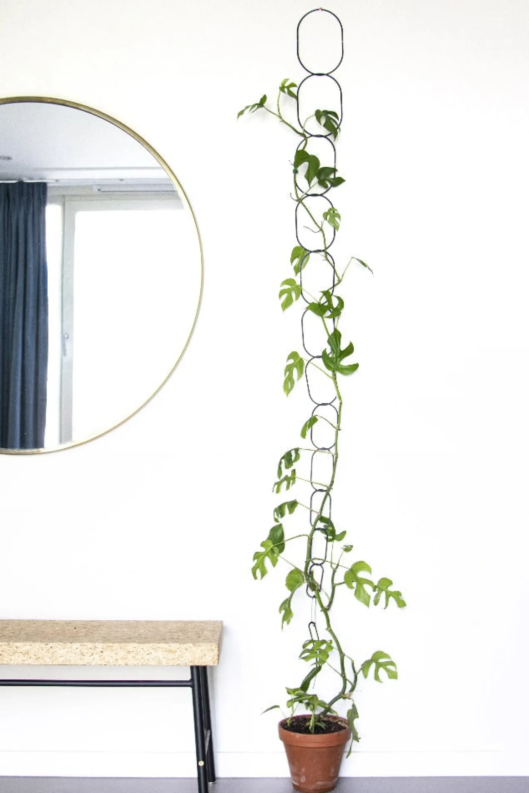 PLANT Klatrestøtte, sort Discount