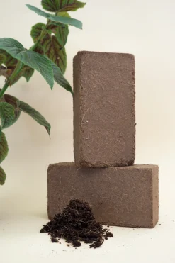 PLANT Kokosmuld Discount