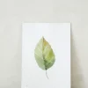 PLANT Kort - blad no. 3 - 100% genanvendt papir