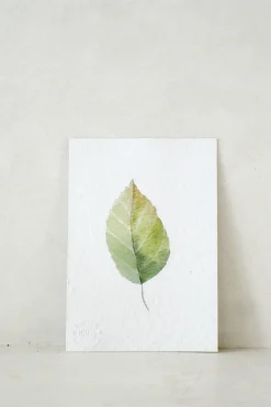 PLANT Kort - blad no. 3 - 100% genanvendt papir