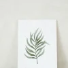 PLANT Kort - blad no. 1 - 100% genanvendt papir Best
