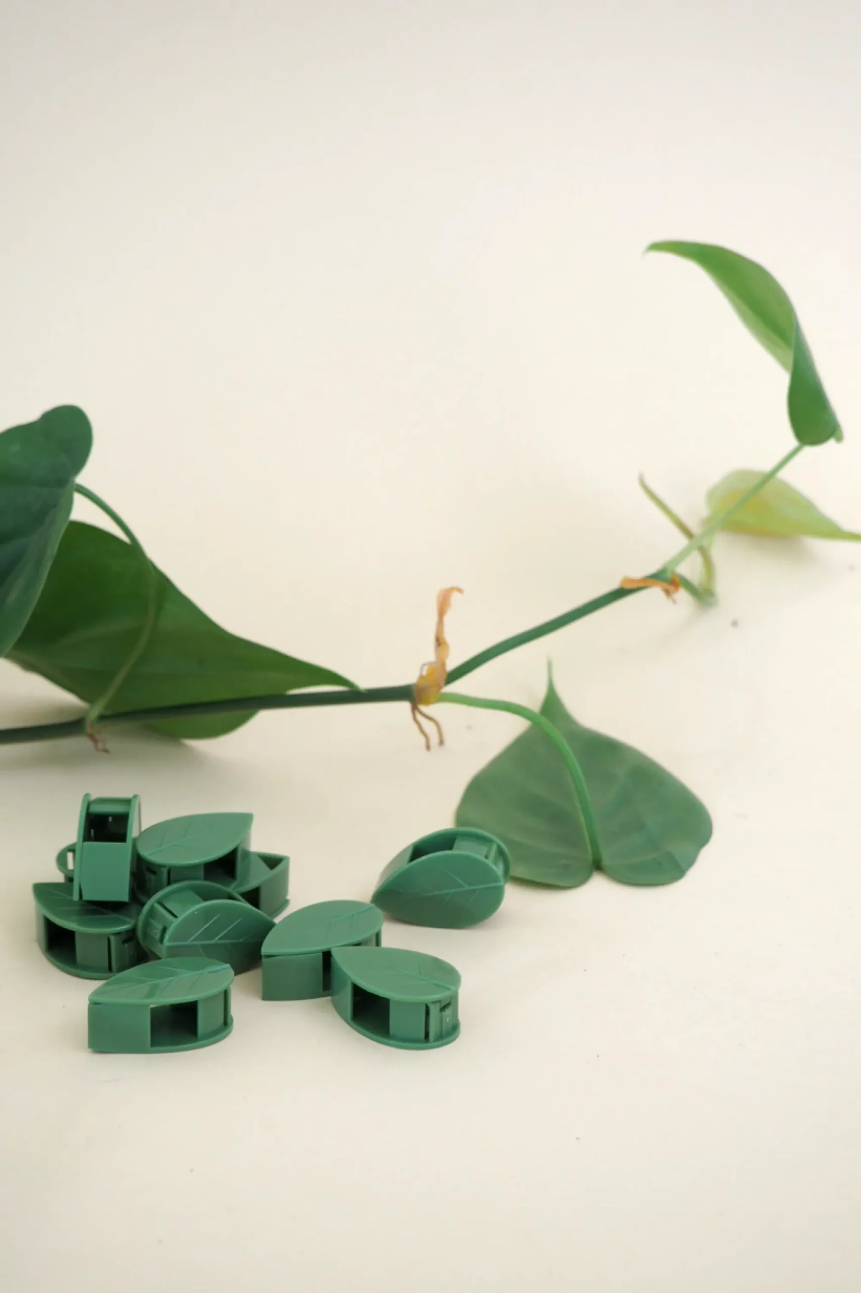 PLANT Leafy Clips Outlet