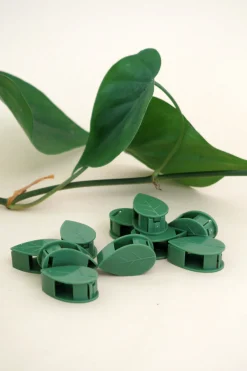 PLANT Leafy Clips Outlet