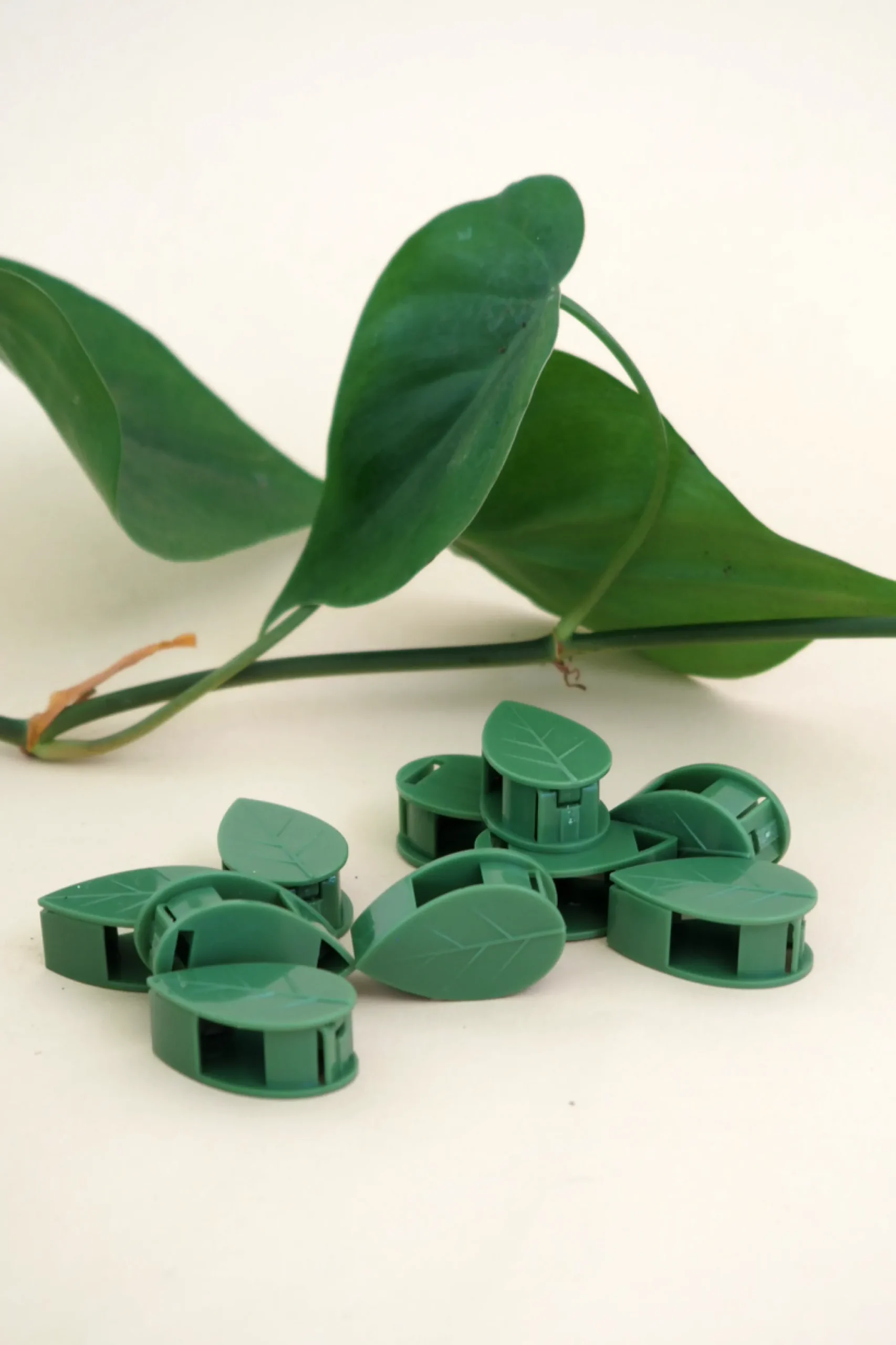 PLANT Leafy Clips Outlet