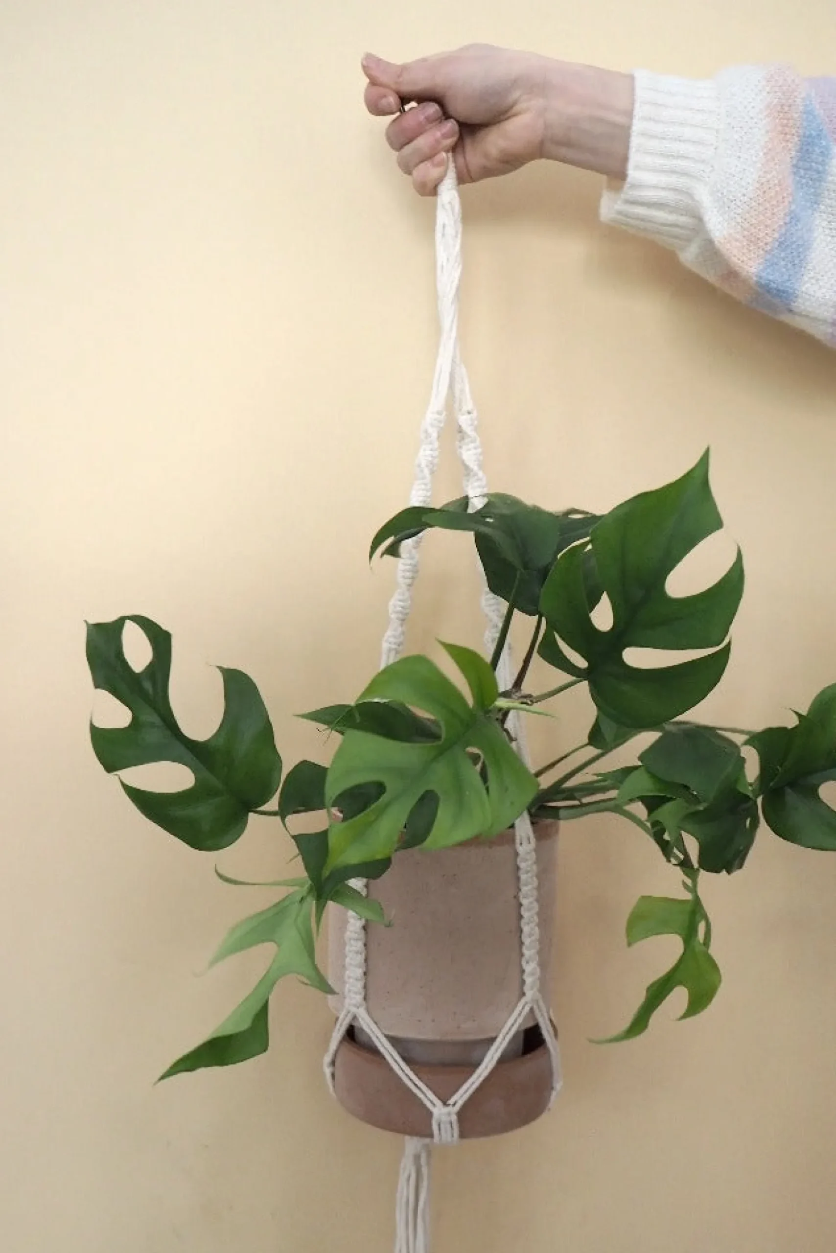 PLANT Macramé eophæng Best