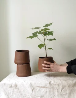 PLANT Maitoinen krukke Hot