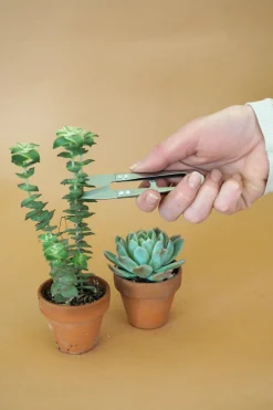 PLANT Mini beskærersaks New