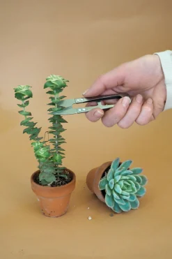 PLANT Mini beskærersaks New
