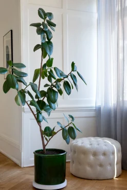 PLANT Modena gulvkrukke - Emerald Green