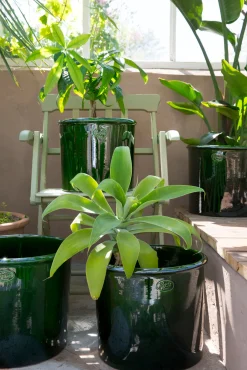 PLANT Modena gulvkrukke - Emerald Green