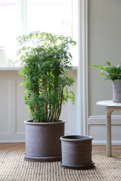 PLANT Modena gulvkrukke - raw grey Hot
