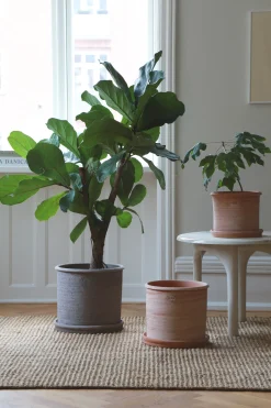 PLANT Modena gulvkrukke - raw grey Hot