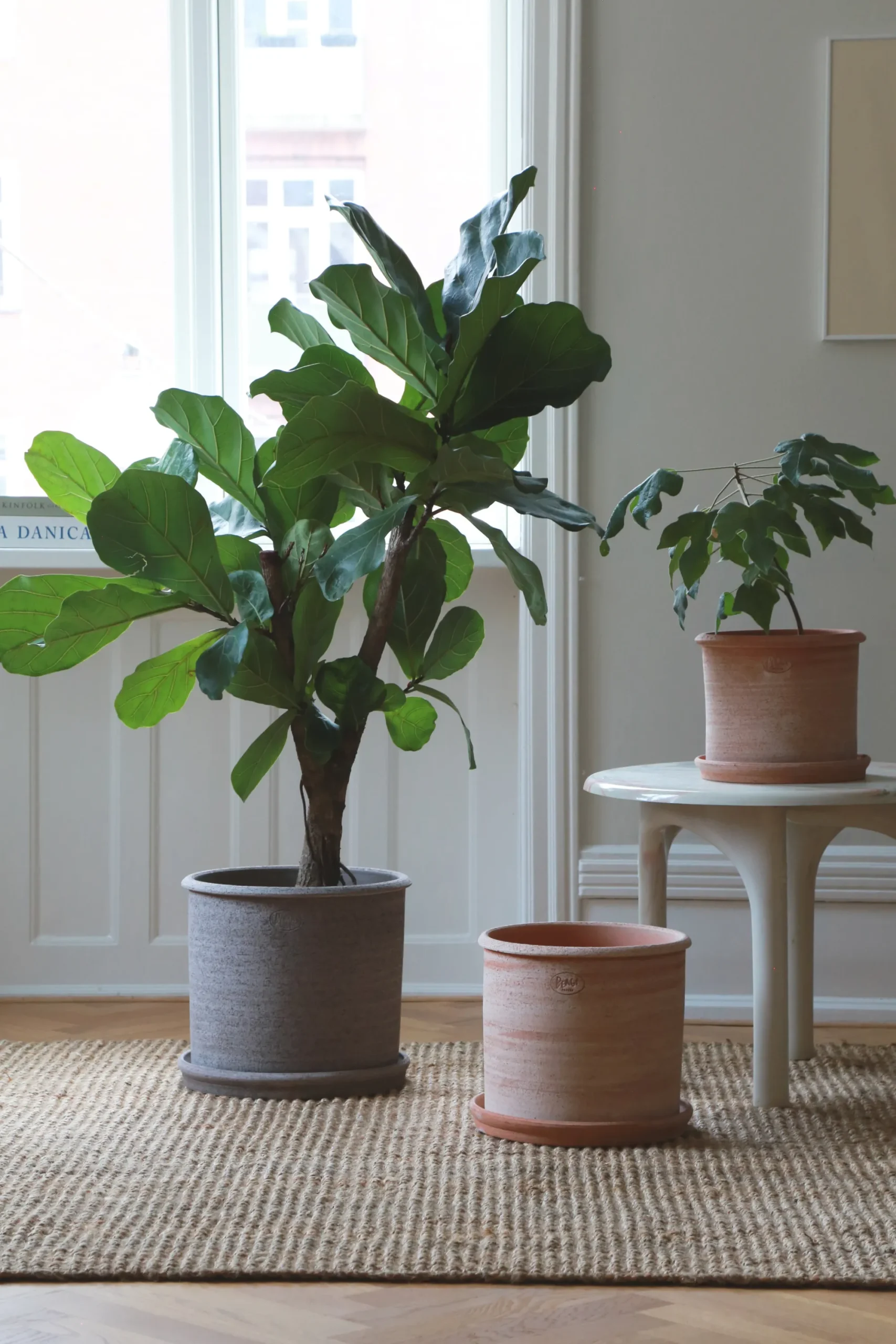 PLANT Modena gulvkrukke - raw grey Hot