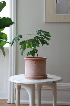 PLANT Modena gulvkrukke - raw rosa Outlet