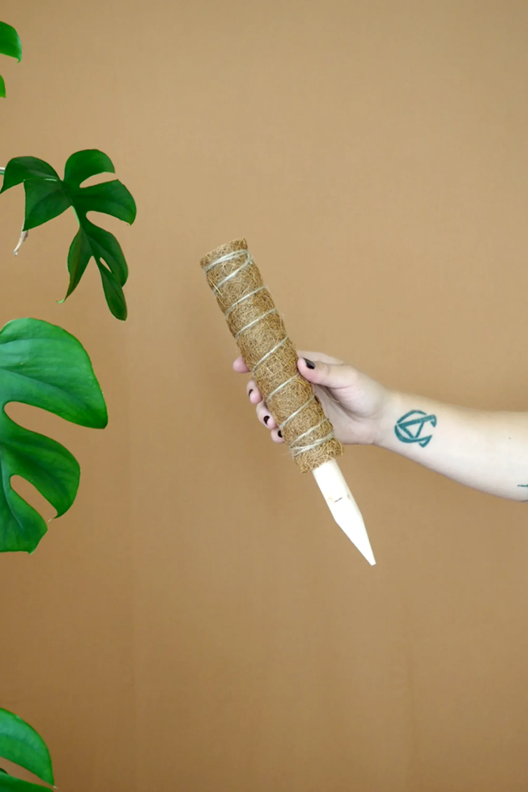 PLANT Mosstok Online