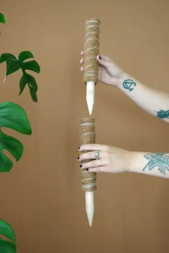 PLANT Mosstok Online