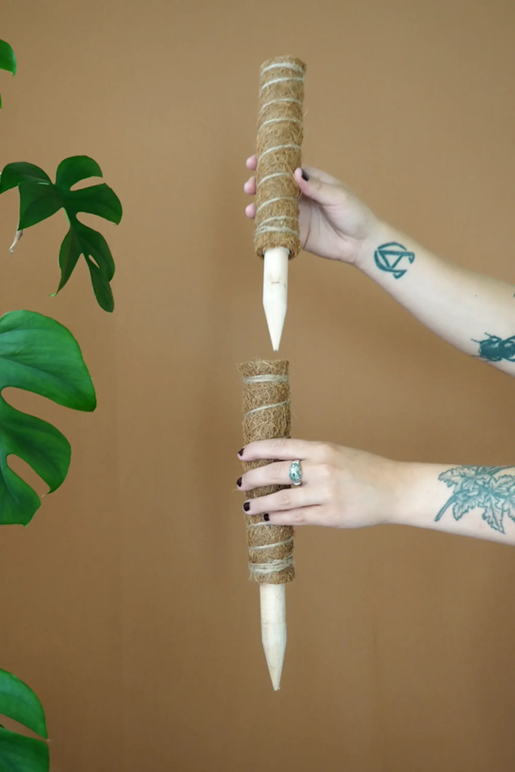 PLANT Mosstok Online