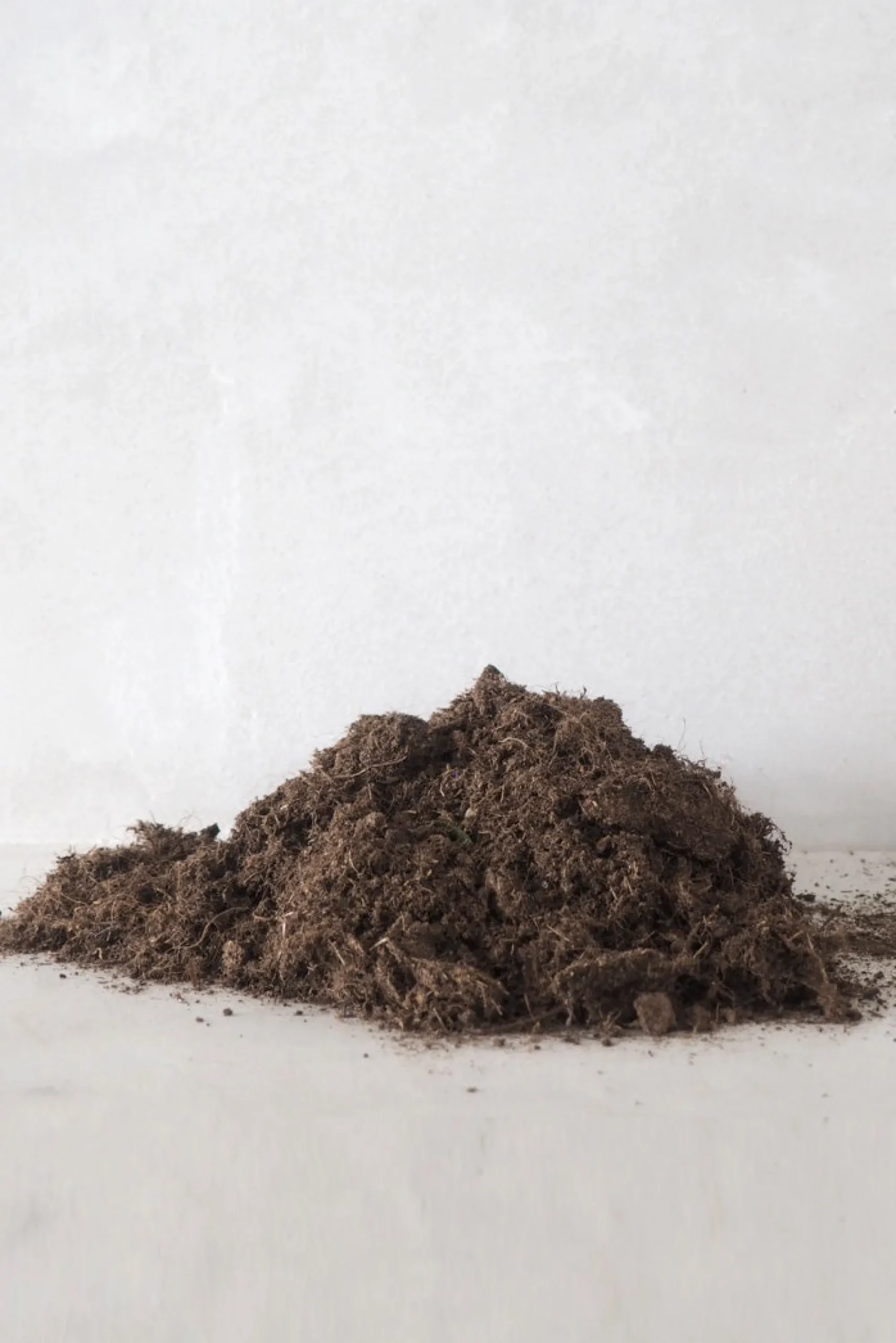 PLANT Muldjord Hot