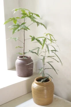 PLANT Nelly krukke - brun Hot