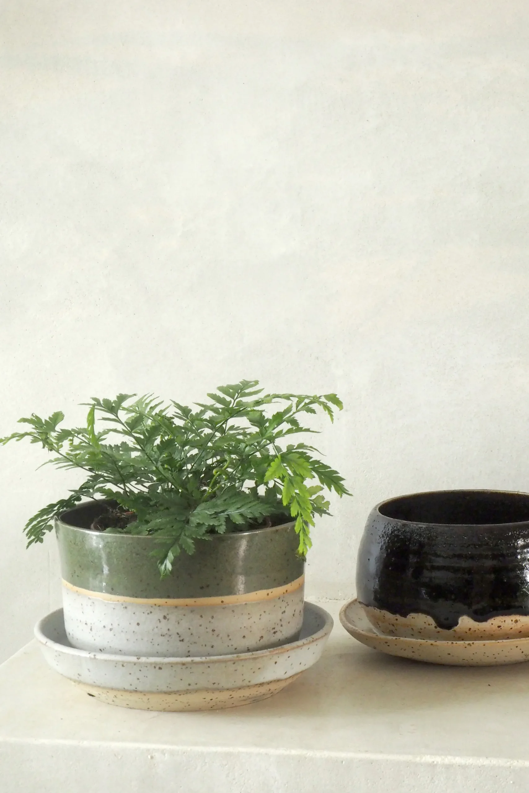 PLANT Nina Frigg medium no. 5 Outlet