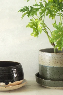 PLANT Nina Frigg medium no. 4 Online