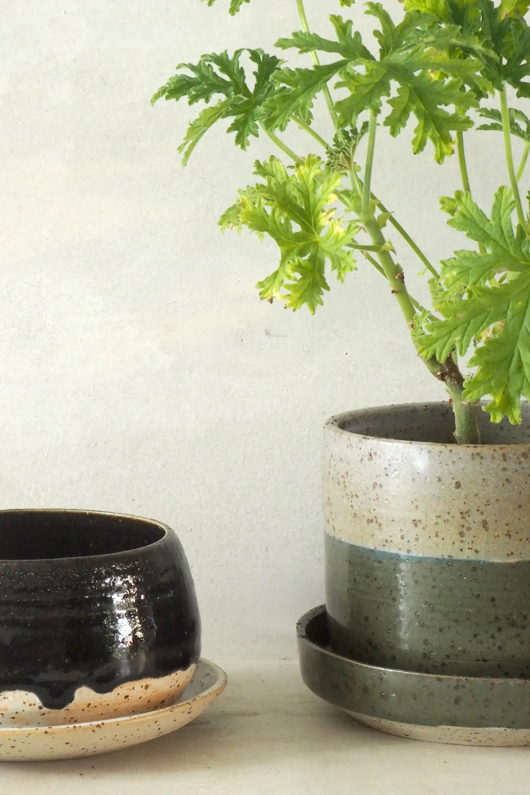 PLANT Nina Frigg medium no. 4 Online