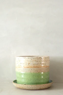 PLANT Nina Frigg stor no. 7 Online