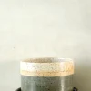 PLANT Nina Frigg stor no. 6
