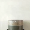 PLANT Nina Frigg stor no. 8 Clearance